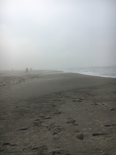 image2.jpeg